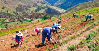 El mayor avance se ha
