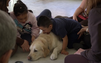 Uno de los niños del CPEE Infanta Elena abraza a Lia, la perra de la terapia animal organizada por Dogtor Animal y Purina (Daniel González / Infobae)