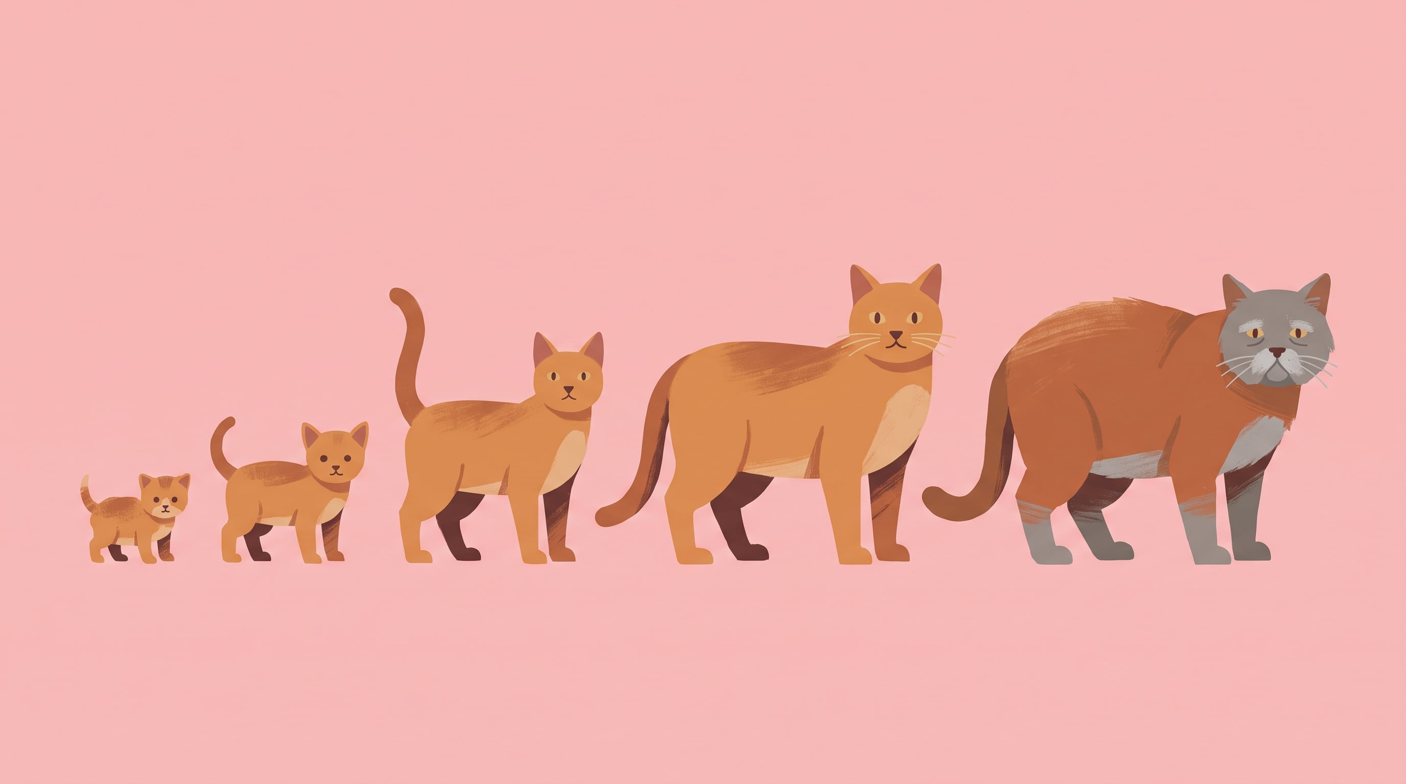 La longevidad de los gatos domésticos suele ubicarse entre 12 y 15 años, mientras que la de los gatos que viven en la calle cae a entre 3 y 5 años (Imagen Ilustrativa Infobae)