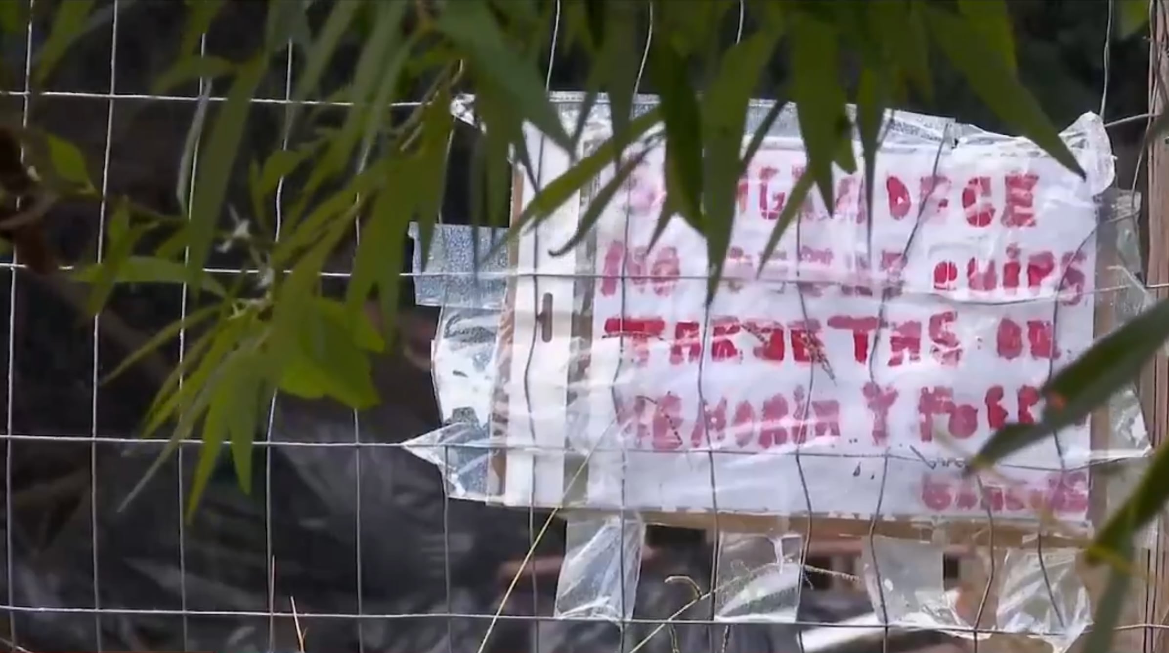 Dos mujeres fueron encerradas, abusadas y torturadas por un hombre en Las Piedras (Captura Telemundo/Canal 12)