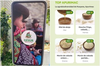 Descarga la aplicación Kusikuy en