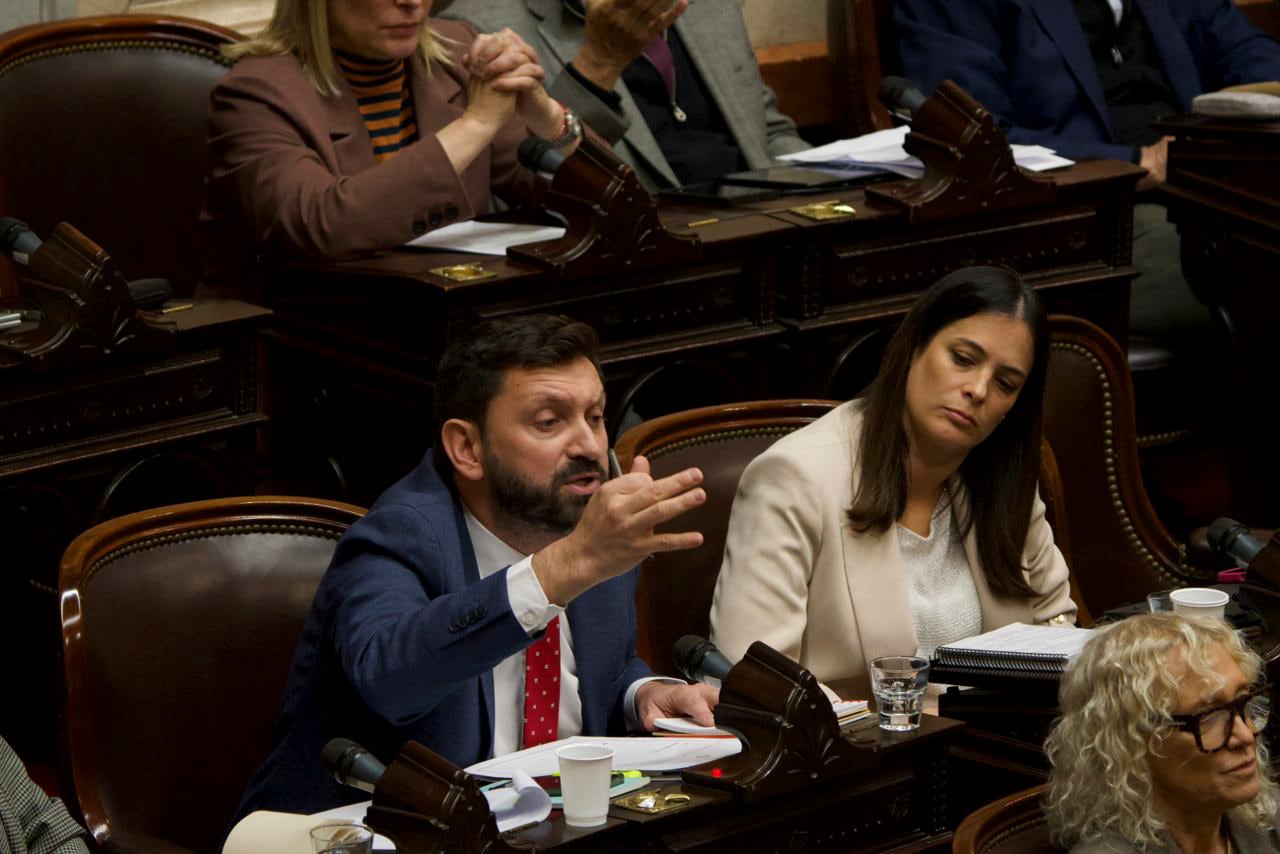 Tensión en Diputados. Cruce de Pablo Juliano con Martín Menem