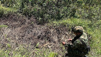 Operativo militar en Anorí, Antioquia, desactivó explosivos atribuidos al ELN