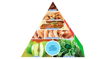 Los tipos de alimentos que