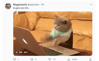 (Captura de pantalla/Twitter)