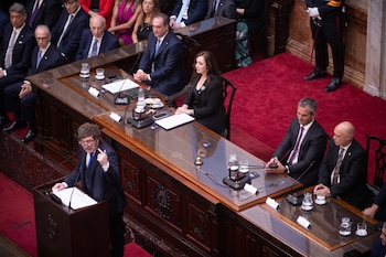 Mieli le apunta al bloque