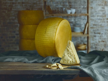 Imagen JHSGOORQERFGZI6L6BOVKBXS34