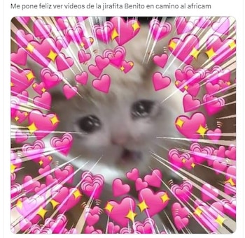 La creatividad de los internautas