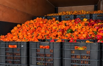 Productos alimenticios recuperados por el Banco de Alimentos RD antes de su redistribución a comunidades vulnerables. (Cortesía: Banco de Alimentos RD):