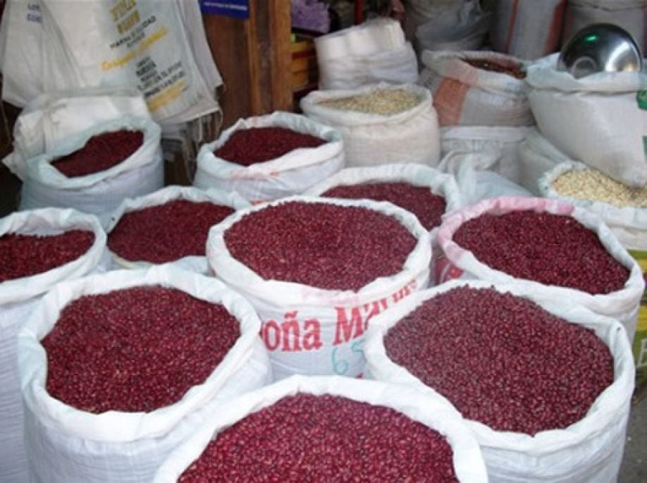 El caso pone en evidencia el impacto potencial en la economía familiar y la seguridad alimentaria nacional ante el posible desabastecimiento y alza de precios de granos básicos en Honduras. (FOTO: STN Honduras)