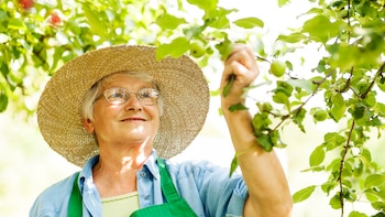 Una mujer compra una casa