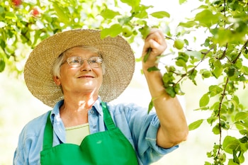 Una foto de archivo de