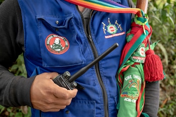 La reciente adjudicación de un