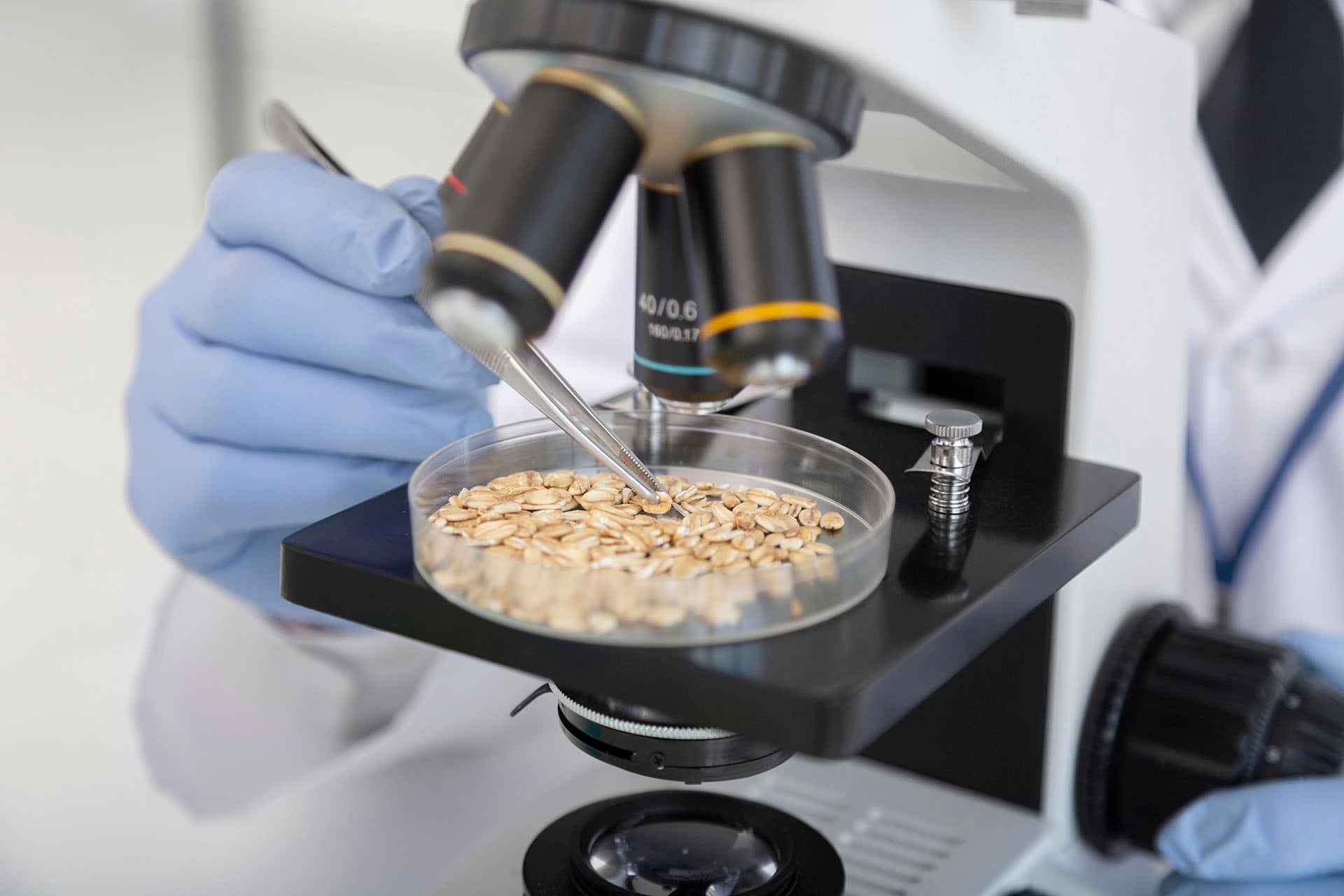 Organismos de salud detectan niveles elevados de plomo en productos cotidianos y advierten sobre la importancia del control alimentario (Freepik)