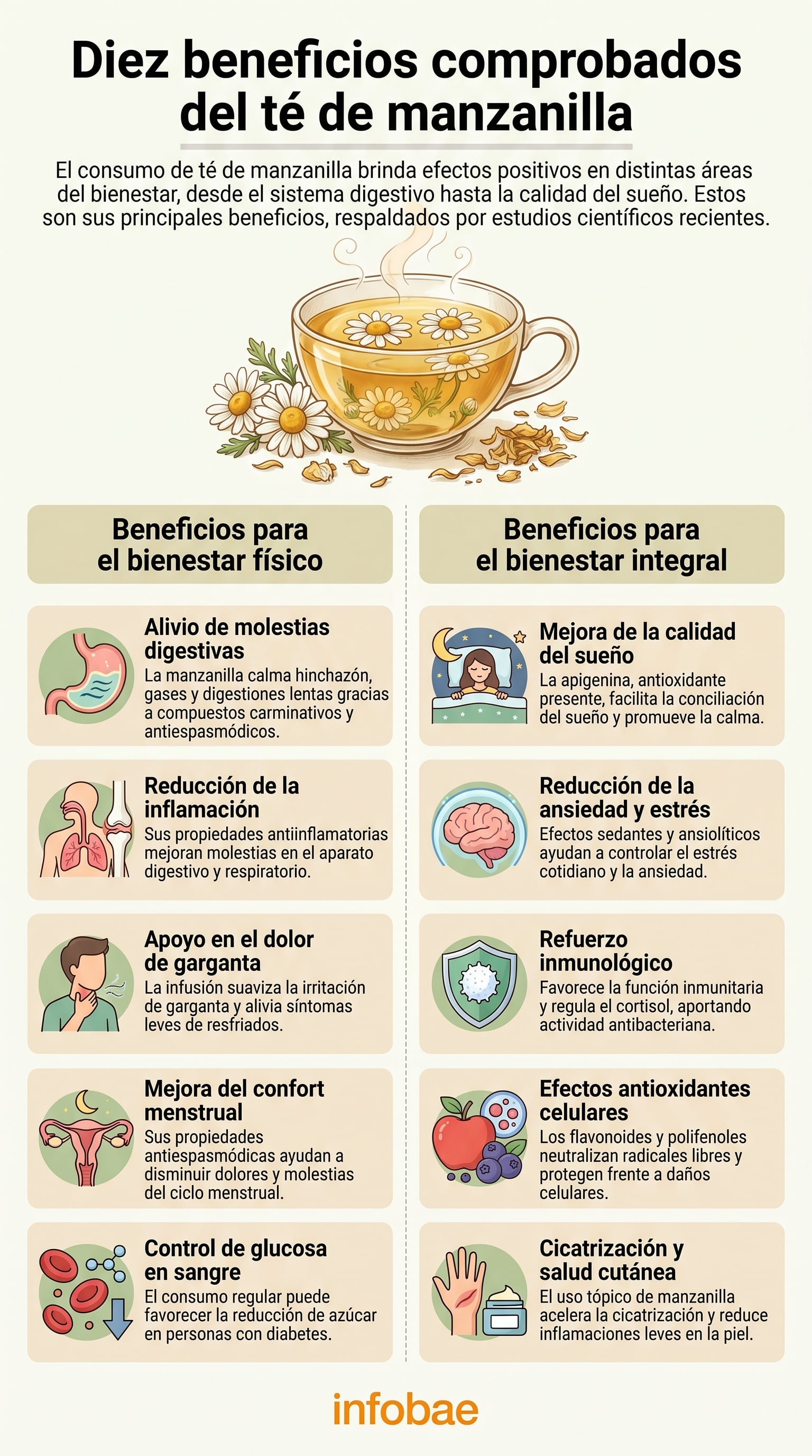 Las propiedades carminativas y antiespasmódicas de la manzanilla contribuyen a disminuir episodios de hinchazón y molestias estomacales después de las comidas (Imagen Ilustrativa Infobae)
