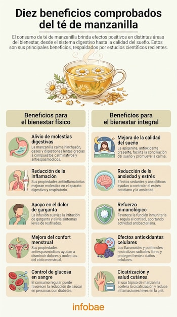Infografía mostrando una taza de té de manzanilla con flores y diez iconos ilustrando beneficios para la salud como el estómago, pulmones, persona durmiendo y mano.