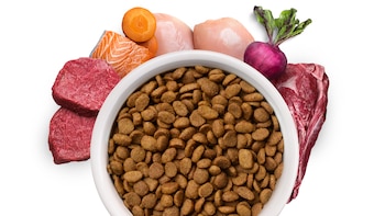 Alimentación para perros y gatos: