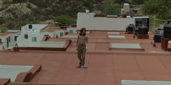 Velarium Arts & Alebrije Producciones.