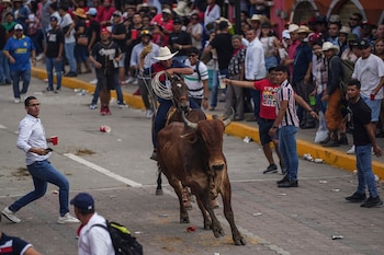 Según la OMS y OPS,