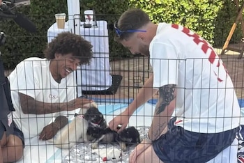 Dos hombres, uno con camiseta blanca y otro con camiseta blanca y roja, acarician tres cachorros, uno claro y dos oscuros, dentro de un cercado de metal