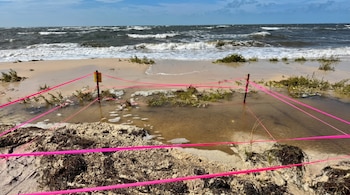 Playa con oleaje fuerte, arena, vegetación, algas marinas, postes de madera, cinta de color rosa y un cartel amarillo en el primer plano.