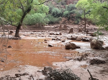 Terreno inundado con agua rojiza y barro, rodeado de rocas grandes, troncos de madera y árboles verdes