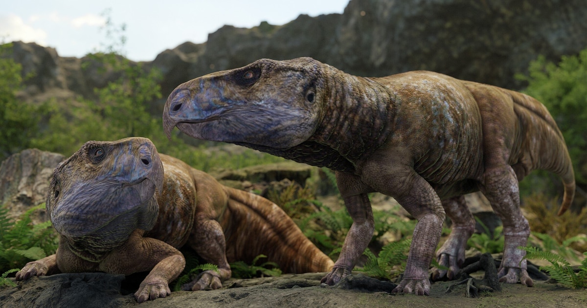 El enigma de los dinosaurios en Europa: un secreto revelado tras cien ...