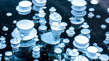 Shape and details of methane bubbles trapped in ice
