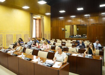 22/07/2025 Sesión de la comisión