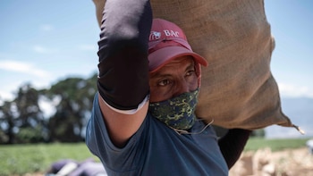 El agro centroamericano gana peso regional, pero solo 15% de los productores accede a crédito formal