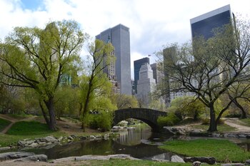 Central Park es el parque
