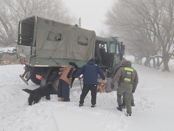 Gendarmería Nacional, un enfermero y un baqueano participaron del rescate en Neuquén y lograron asistir al adulto mayor aislado por la nieve