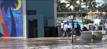 Agua sobre el pavimento frente a una acera con transeúntes, bicicletas, grandes macetas, palmeras y un edificio con mural