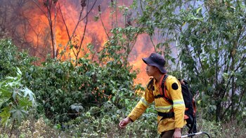 El Gobierno de Bolivia afirma
