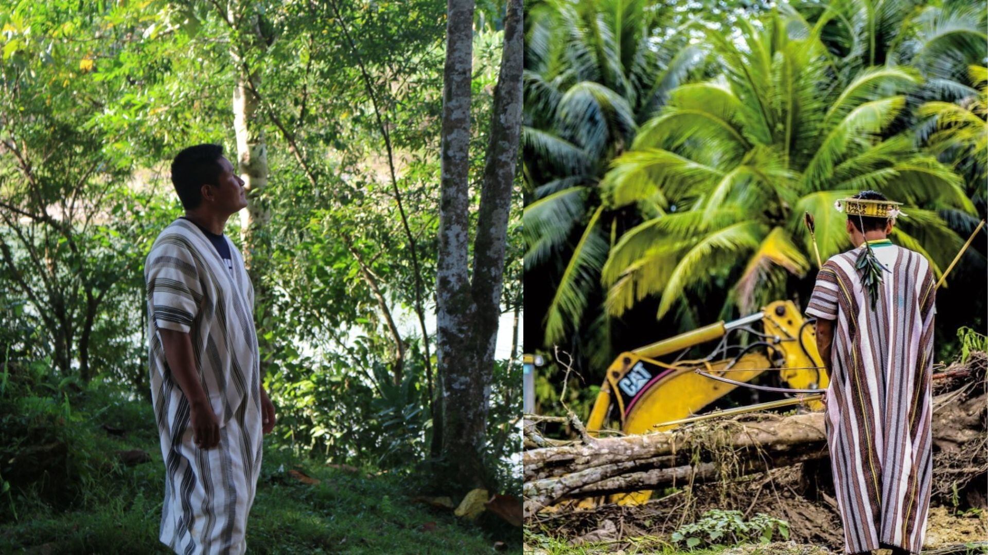 Líderes indígenas enfrentan las mafias de la madera a la espera de protocolos de seguridad que frenen los asesinatos en territorios amazónicos.