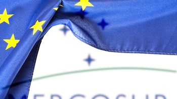El acuerdo UE–Mercosur abre un escenario de ajuste logístico e inversión gradual