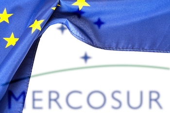 El criterio de “primer llegado, primer servido” para acceder a los contingentes arancelarios, introduce una lógica donde la capacidad de ejecución logística gana peso (Imagen: Shutterstock)