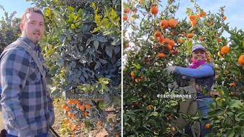 Mujer mexicana demuestra eficiencia en