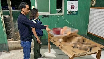 Caza ilegal en San Martín: