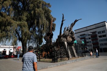 MEX6769. CIUDAD DE MÉXICO (MÉXICO),