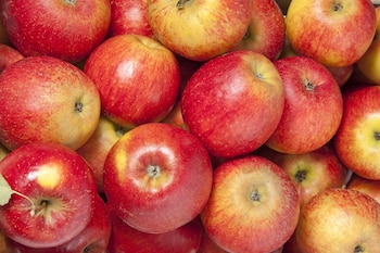 El alza de alimentos, transporte y restaurantes fue parcialmente compensada por menores precios en electricidad, gas doméstico y algunos productos agrícolas y pesqueros.