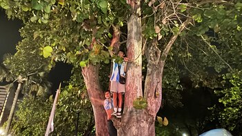 Jóvenes trepados a un árbol