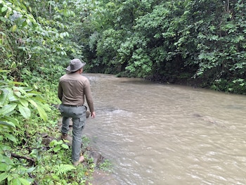 Guardaparques refuerzan vigilancia ante reportes de minería ilegal en áreas protegidas. Tomada de MiAmbiente