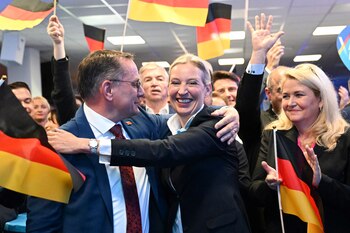 Alternative for Germany (AfD) party