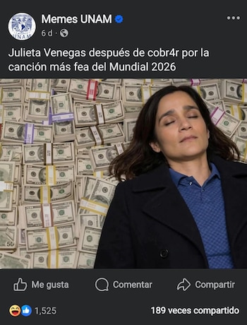 La cantante Julieta Venegas yace recostada con los ojos cerrados sobre una enorme cama de billetes de dólar estadounidenses. Viste una camisa azul y un abrigo oscuro