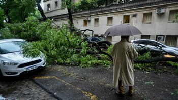 Deberían tenerse en cuenta directivas