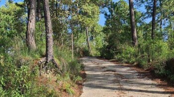 Siete personas fueron abandonadas con