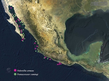Los toltecas establecieron importantes rutas