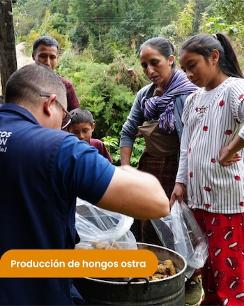 Hombre de espaldas manipula hongos en recipiente metálico. Una mujer y una niña con bolsas plásticas. Otros dos observan. Fondo de árboles y vegetación