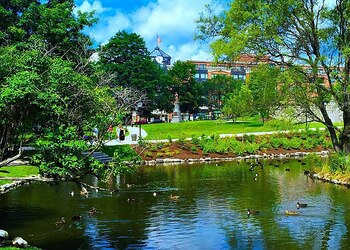 Saratoga Springs ofrece una variedad